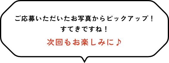 ご応募いただいたお写真からピックアップ！すてきですね！次回もお楽しみに♪