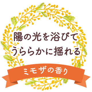 陽の光を浴びてうららかに揺れるミモザの香り