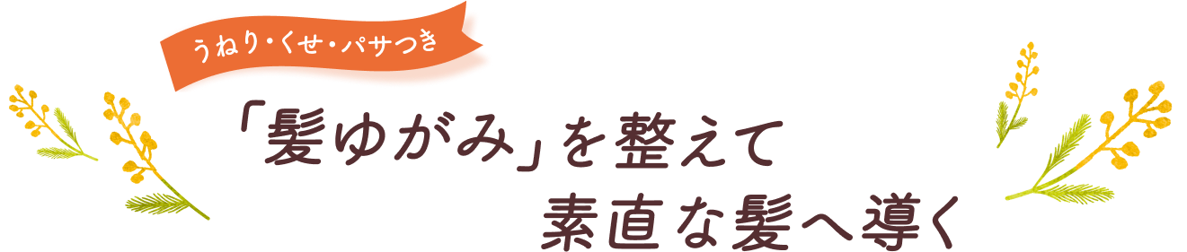 うねり・くせ・パサつき　「髪ゆがみ」を整えて素直な髪へ導く