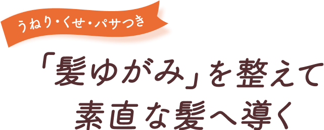 うねり・くせ・パサつき　「髪ゆがみ」を整えて素直な髪へ導く