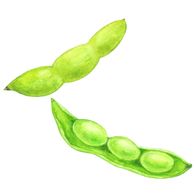 枝豆のイラスト