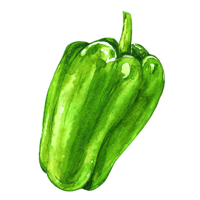 ピーマンのイラスト