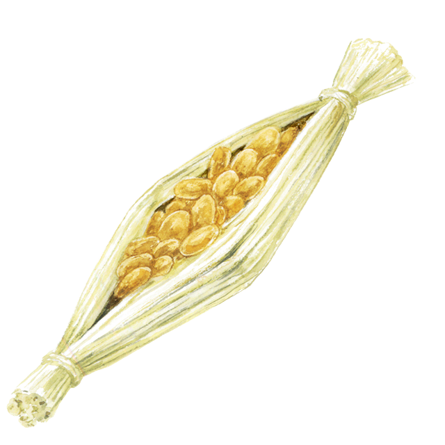 納豆のイラスト