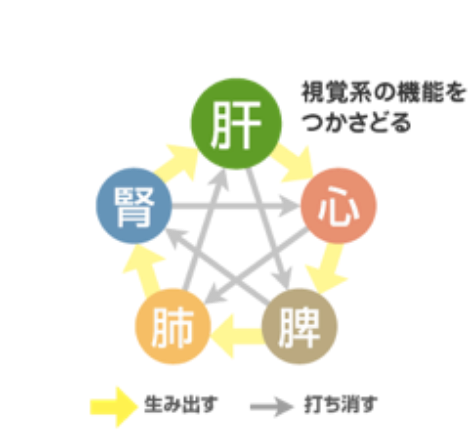 腎虚から起こる 老眼 目のかすみ について八味地黄丸a 尿トラブルに効く漢方 クラシエ