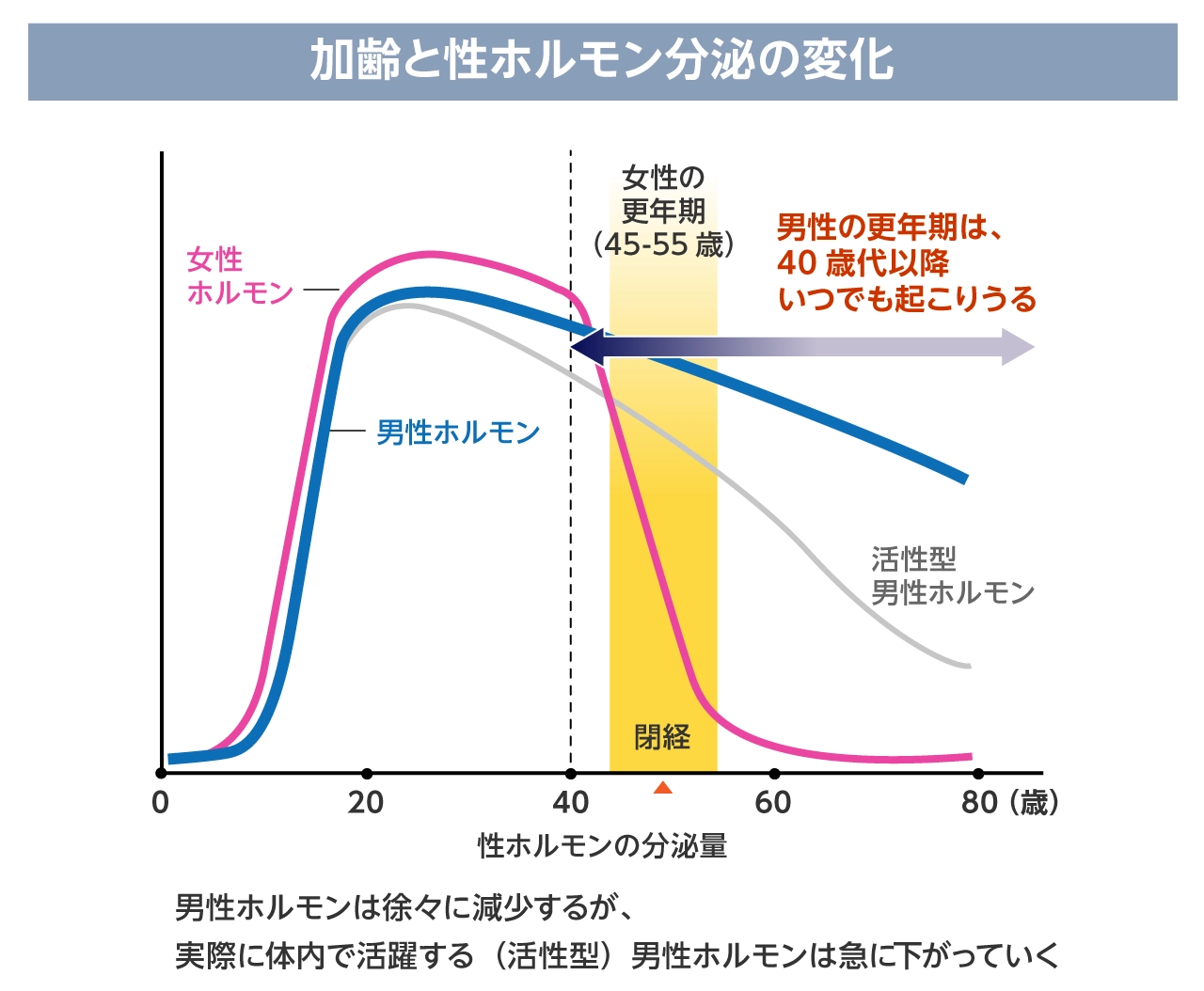 加齢と性ホルモン分泌の変化グラフ