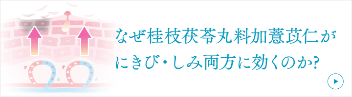 なぜ桂枝茯苓丸料加薏苡仁がにきび・しみ両方に効くのか？