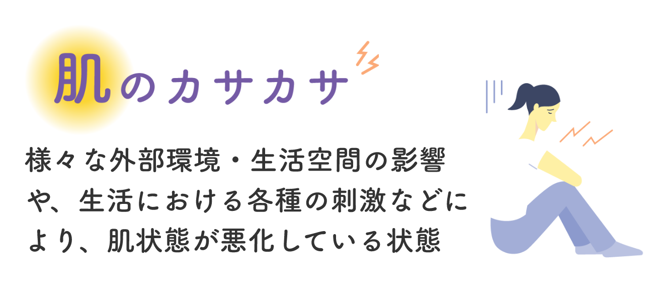 肌のカサカサ 様々な外部環境・生活空間の影響や、生活における各種の刺激などにより、肌状態が悪化している状態